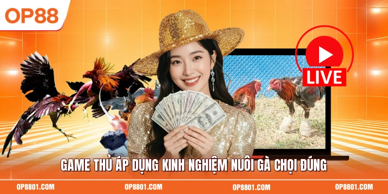 Game thủ áp dụng kinh nghiệm nuôi gà chọi đúng