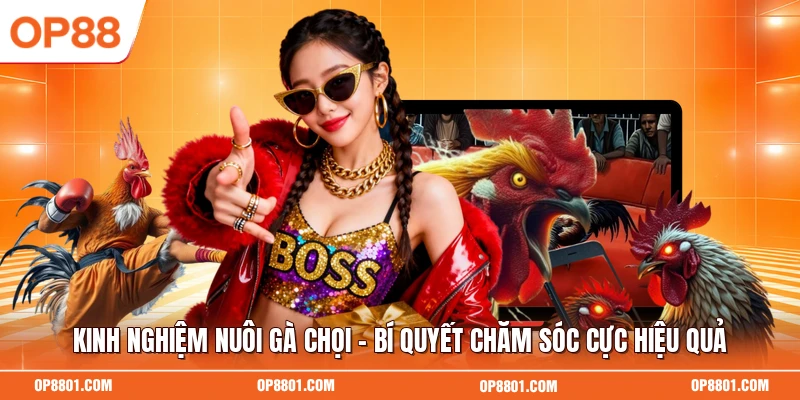 Kinh Nghiệm Nuôi Gà Chọi - Bí Quyết Chăm Sóc Cực Hiệu Quả