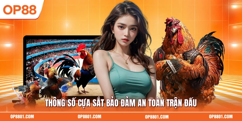 Thông số cựa sắt bảo đảm an toàn trận đấu